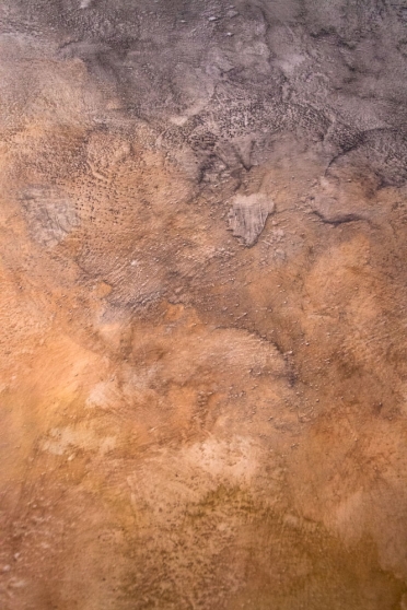 http://www.wbc.mirunadragan.com/files/gimgs/th-57_IMG_1048_Closeup_W.jpg