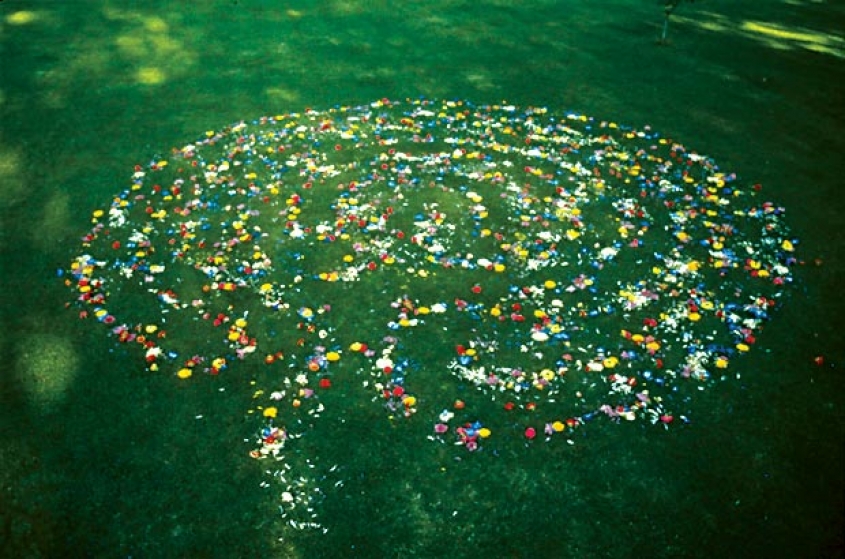 http://www.wbc.mirunadragan.com/files/gimgs/th-16_void2_1photo2.jpg